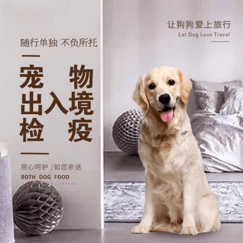 濮阳市宠物托运到哥伦比亚猫狗宠物入境规定和