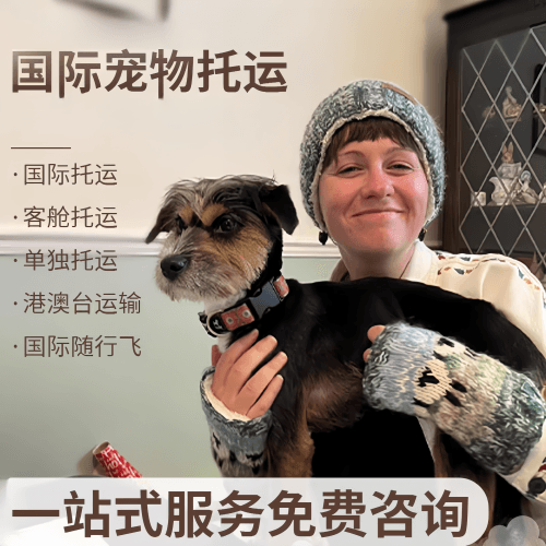 濮阳市国际宠物托运到阿根廷宠物入境规定和要