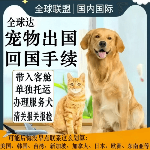 濮阳市宠物托运到柬埔寨宠物入境规定和要求