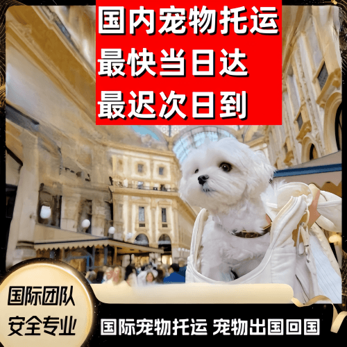 濮阳市到澳大利亚（澳洲）宠物入境规定和要求