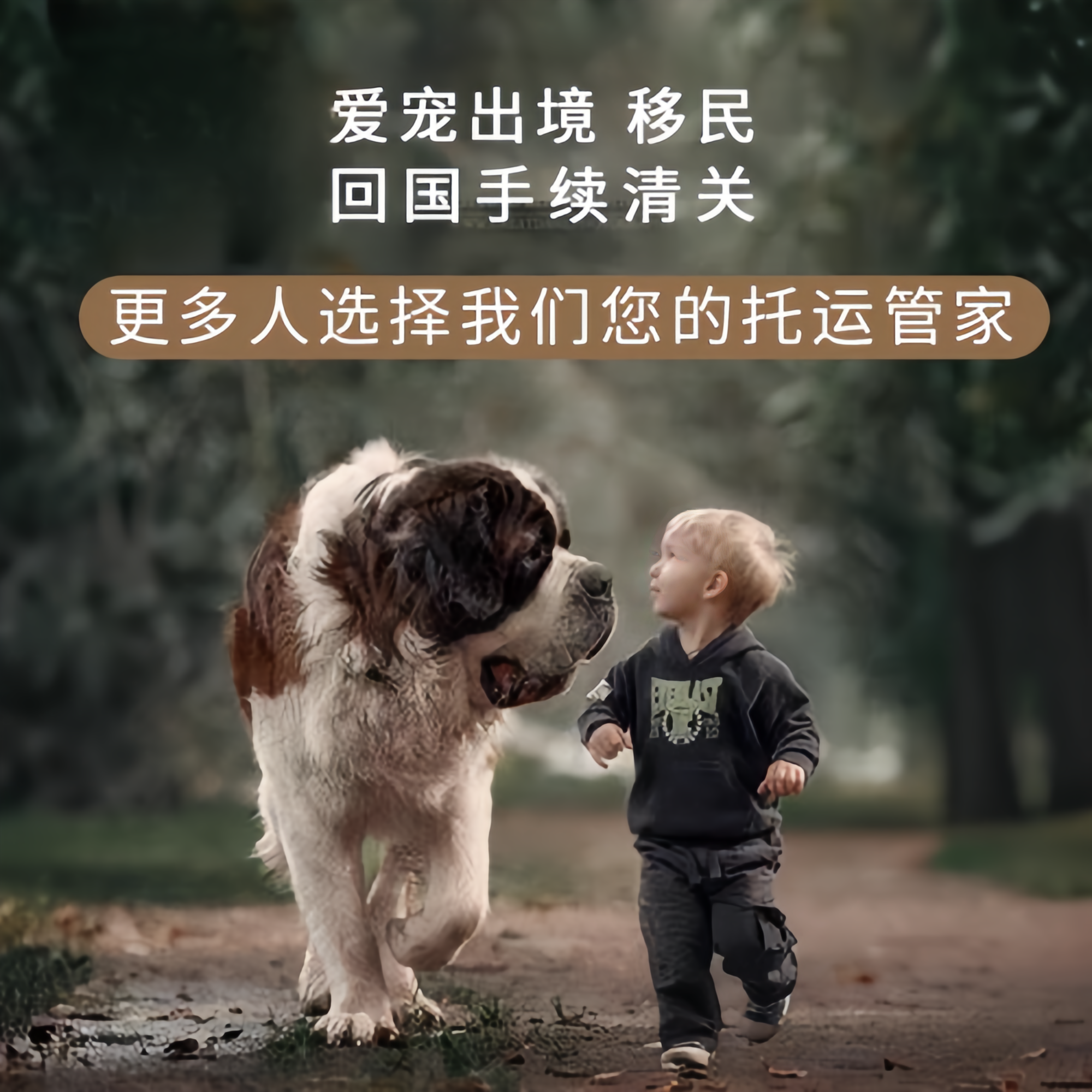 满财濮阳市宠物全球达宠物托运在遵守入境目的地政策的条件