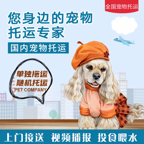 满财濮阳市宠物全球达宠物托运作为专业的宠物运输代理机构
